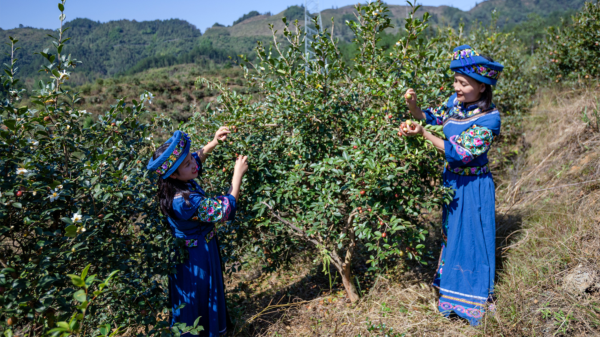 IMG_8481_1920_169.jpg IMG_8481_1920_169.jpg