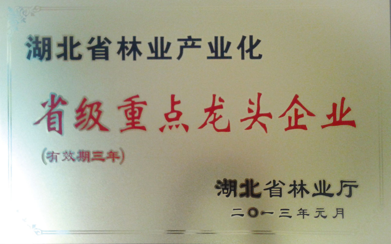 2013林業(yè)省級重點龍頭企業(yè)_.jpg