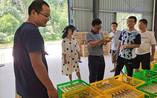 2020年8月5日省林科院領(lǐng)導(dǎo)來(lái)公司視察