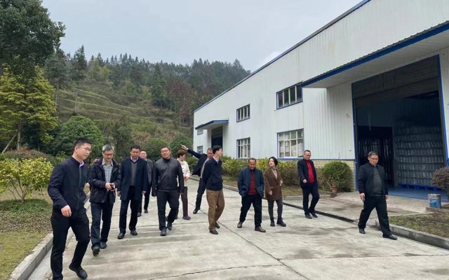 2023年3月7日省林業(yè)局黨組書記、局長王昌友一行到來鳳調(diào)研